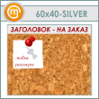    , 6040  (IN-06-SILVER)